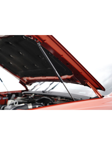 KIT DE AMORTIGUADORES DE CAPO FORD RANGER 2023+...