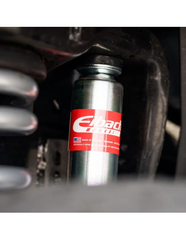 KIT DE SUSPENSION RAM 2500 2014-2024 EIBACH