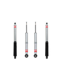 KIT LEVEL IT FORD F150 2015-2020 EIBACH