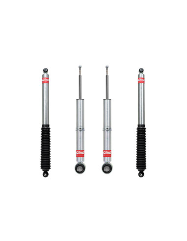 KIT LEVEL IT FORD F150 2015-2020 EIBACH
