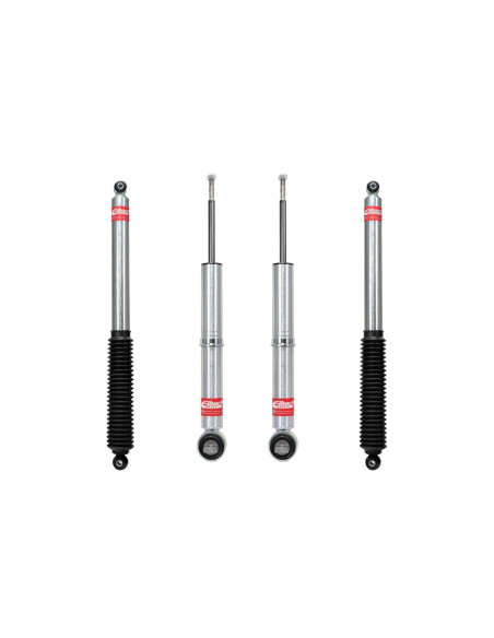 KIT LEVEL IT FORD F150 2015-2020 EIBACH