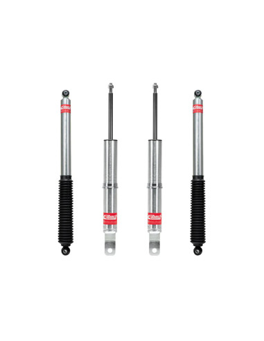 KIT LEVEL IT RAM 1500 CLASSIC 2009-2018 EIBACH