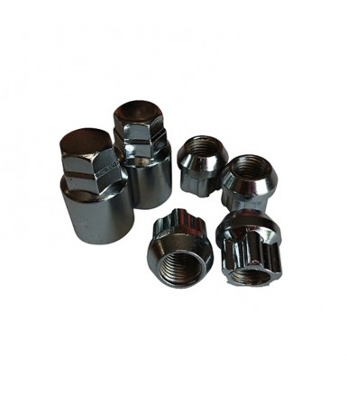 Set 24 Tuercas 14x1.50 corta MP